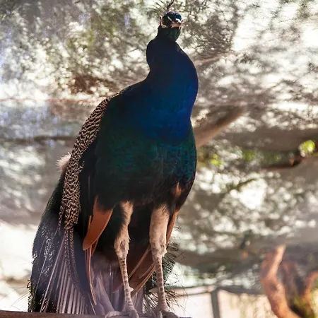 Crystal Bodrum 호텔